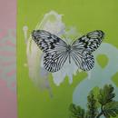 Paper Kite Butterfly, 16" x 12", acrylic on mylar