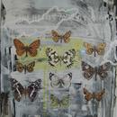 Butterfly Assortment, 20" x 27", acrylic on mylar by Mary Lottridge