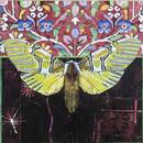 Carpet Moth, 20" x 20", acrylic on wood cradle