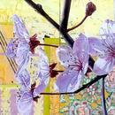 Cherry Blossoms, 20" x 40", acrylic on wood cradle