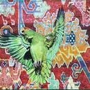 Green Parrot 1, 24" x 24", acrylic on wood cradle