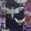 To The Flame, 24" x 24", acrylic on wood cradle